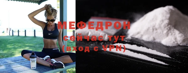 индика Бородино