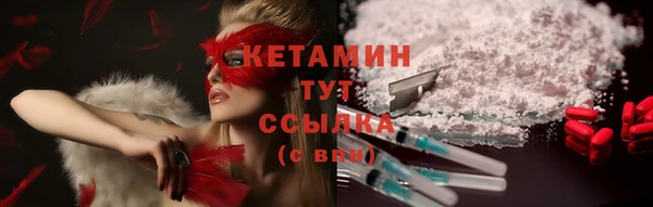 индика Бородино