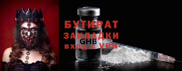 индика Бородино
