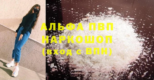 индика Бородино