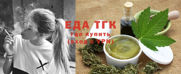 индика Бородино
