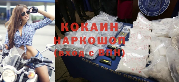 индика Бородино