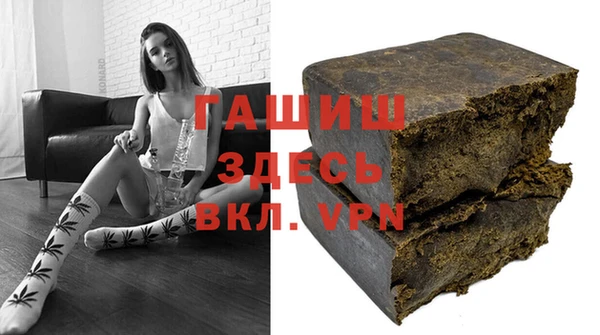 индика Бородино
