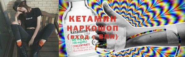 индика Бородино