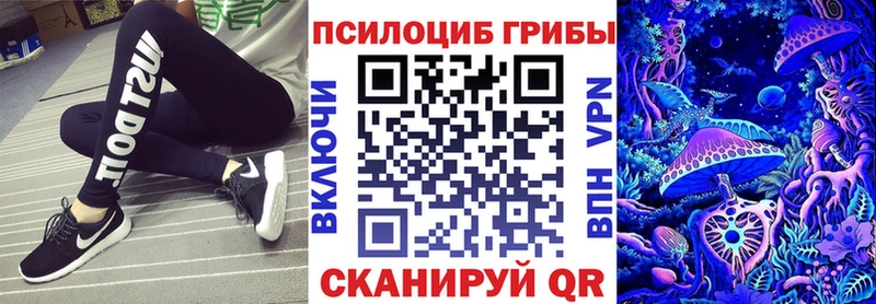 закладка  Вилюйск  Галлюциногенные грибы мицелий 